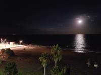 Alquiler - Apartamento - Torrevieja - La Mata