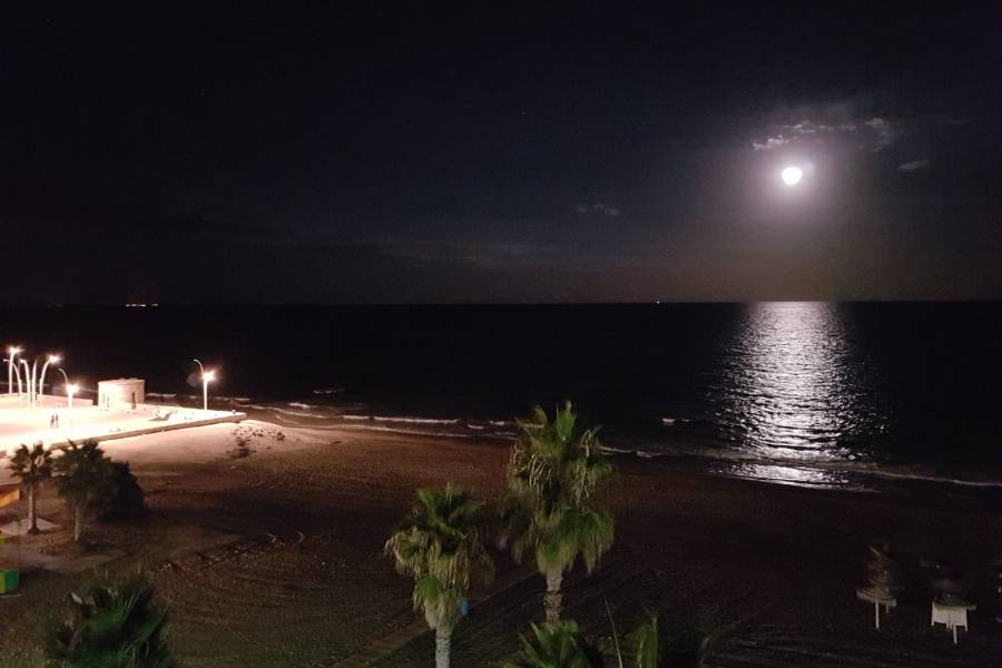 Alquiler - Apartamento - Torrevieja - La Mata