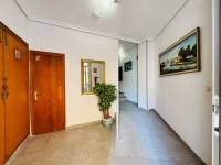 Reventa - Apartamento - Torrevieja - La Mata
