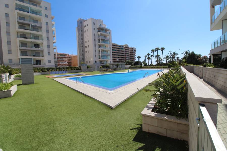 Weiterverkauf  - Wohnung - La Mata - Pueblo/ PLAYA