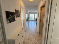 Weiterverkauf  - Wohnung - Torrevieja - Playa Los Locos