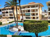 Reventa - Apartamento - La Mata - Parque Mar /PLAYA