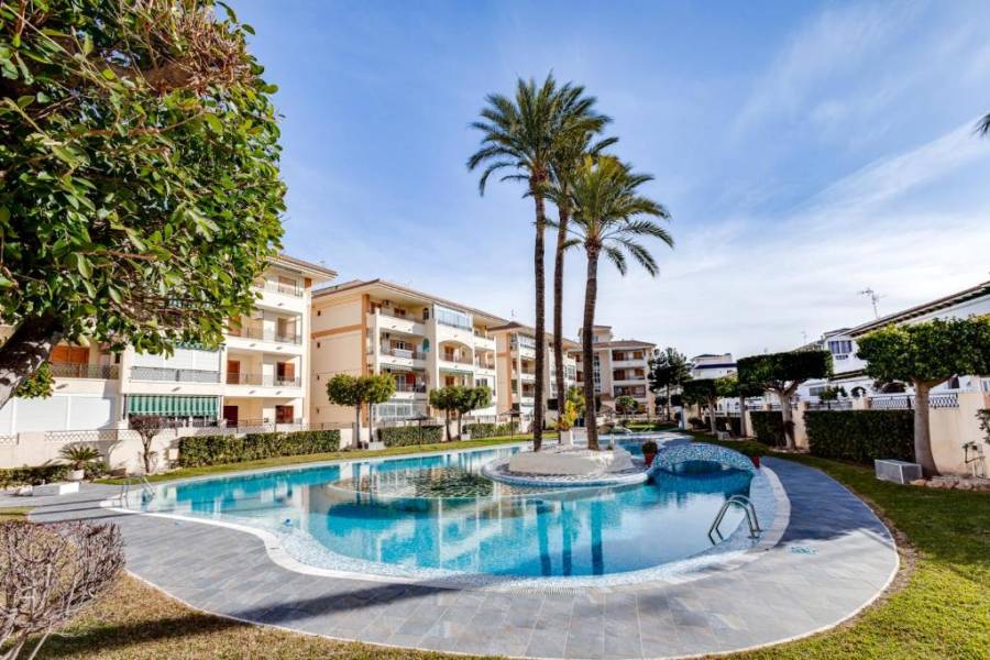 Reventa - Apartamento - La Mata - Parque Mar /PLAYA