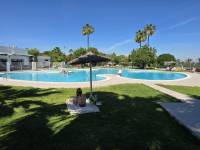 Weiterverkauf  - Wohnung - Torrevieja - Los Balcones