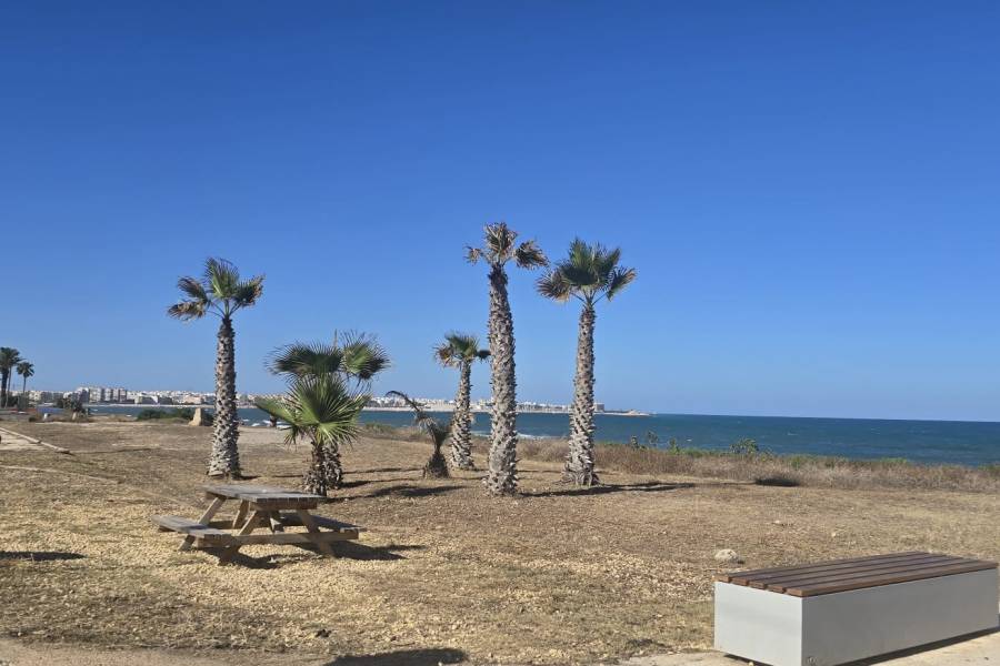 Återförsäljning - Lägenhet - Torrevieja - Eliseos playa