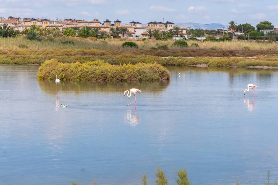 Återförsäljning - Lägenhet - Santa Pola - Centro