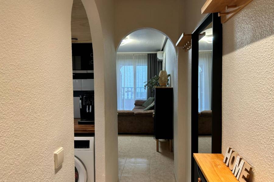 Reventa - Apartamento - Torrevieja - Center