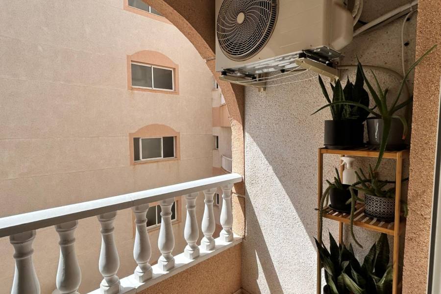 Reventa - Apartamento - Torrevieja - Center