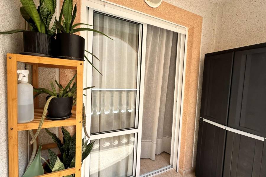Reventa - Apartamento - Torrevieja - Center