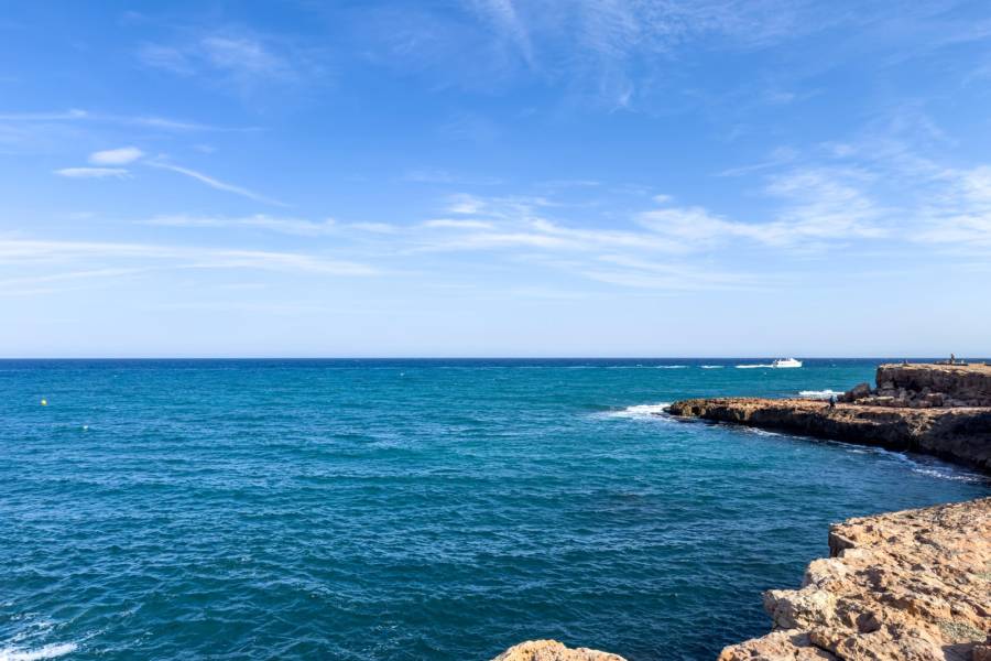 Återförsäljning - Lägenhet - Torrevieja - Los Frutales