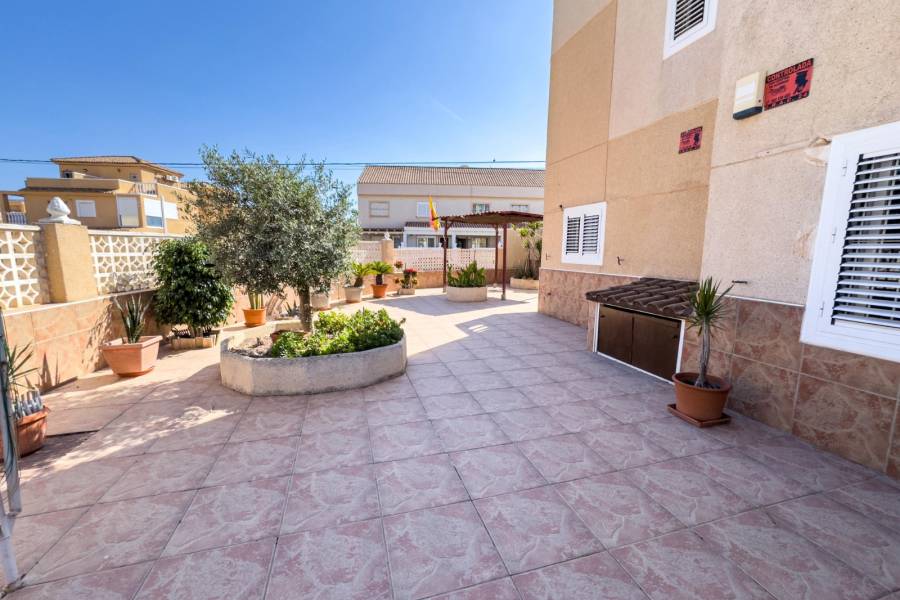 Återförsäljning - Lägenhet - Torrevieja - Los Frutales