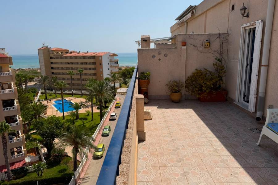 Reventa - ÁTICO - La Mata - Puerto Romano/PLAYA