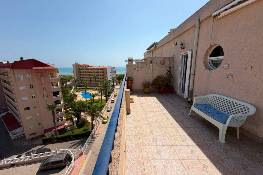 Reventa - ÁTICO - La Mata - Puerto Romano/PLAYA