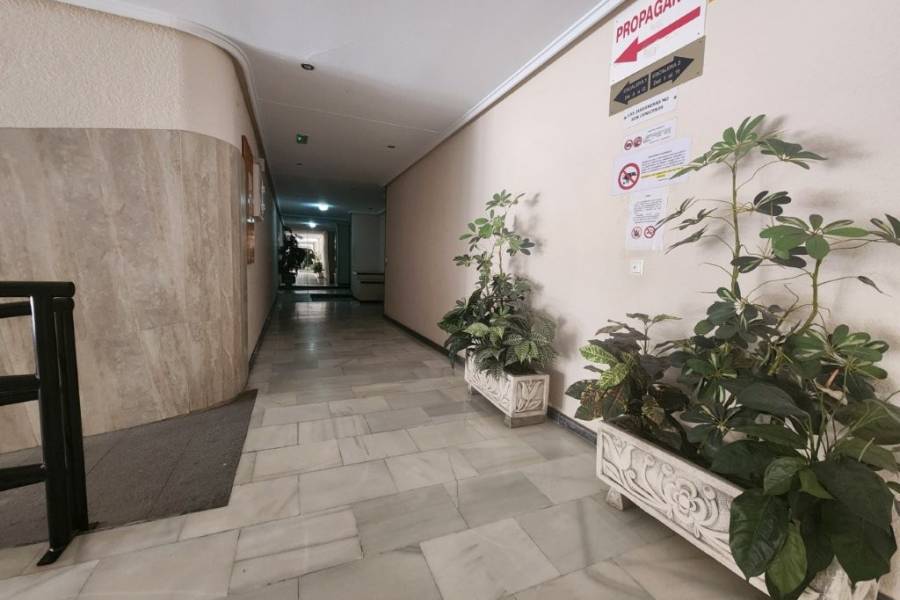 Occasion - Appartement - Torrevieja - PLAYA ACEQUION 