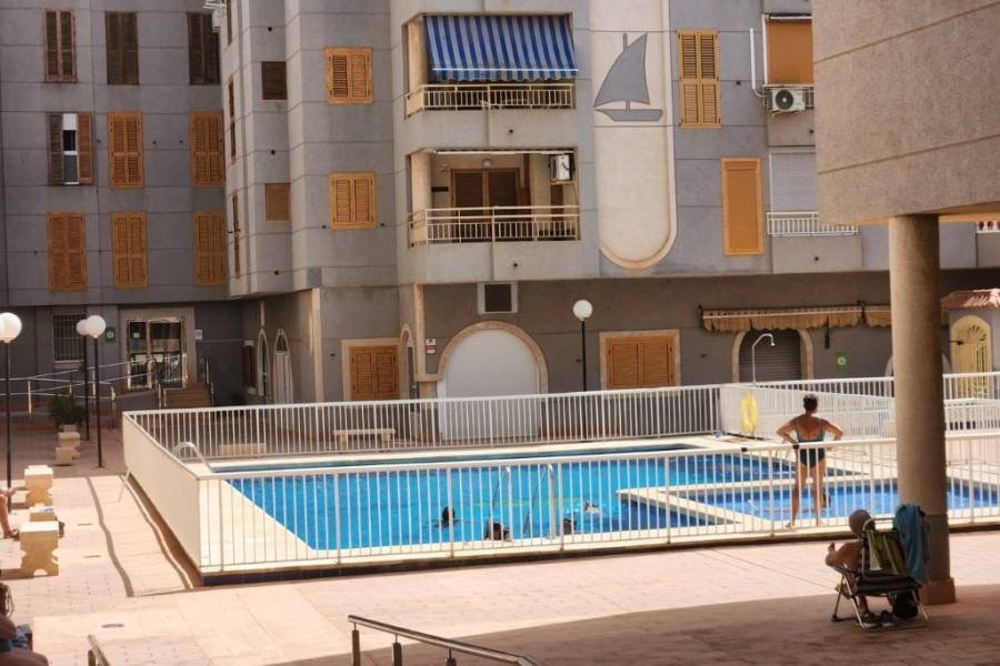 Occasion - Appartement - Torrevieja - PLAYA ACEQUION 