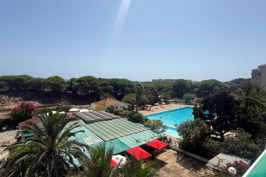 Перепродажа - Aпартамент - Guardamar del Segura - las dunas