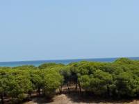 Перепродажа - Aпартамент - Guardamar del Segura - las dunas