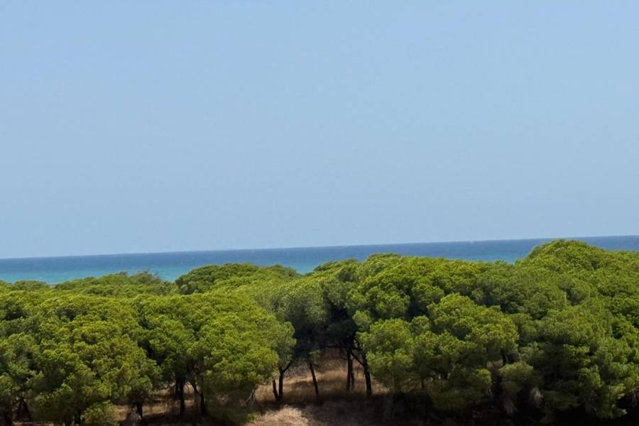 Перепродажа - Aпартамент - Guardamar del Segura - las dunas