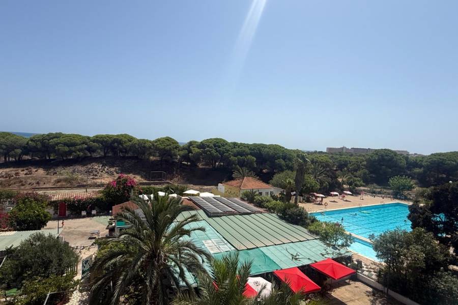 Перепродажа - Aпартамент - Guardamar del Segura - las dunas