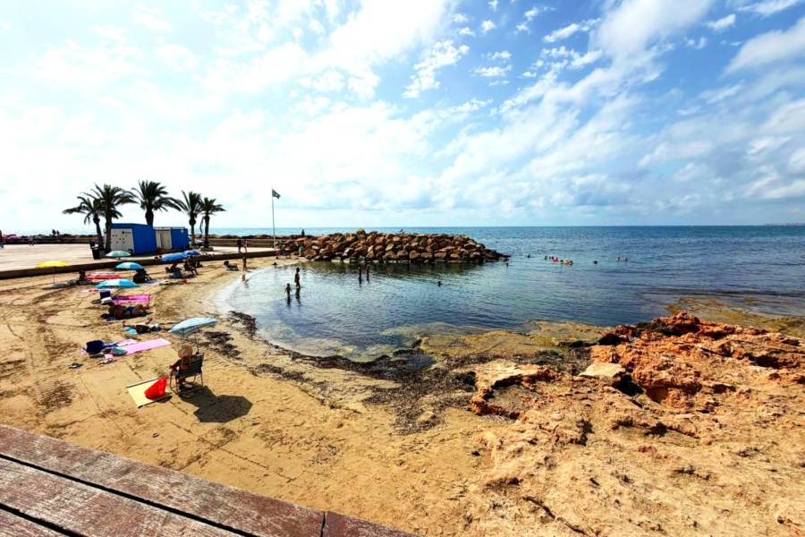 Перепродажа - Aпартамент - Torrevieja - Playa del cura