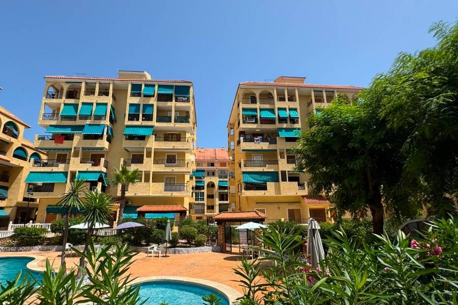 Перепродажа - Aпартамент - Torrevieja - La Mata