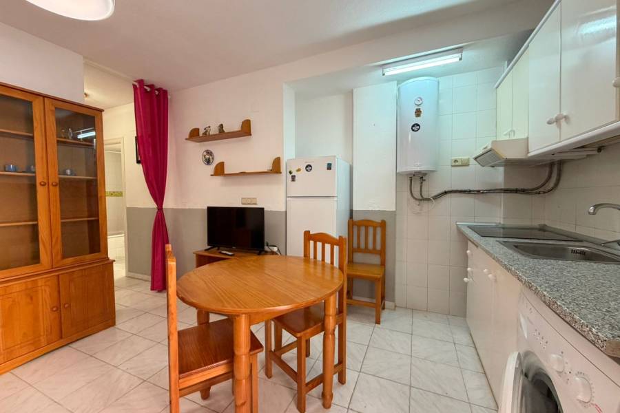 аренда - Aпартамент - Torrevieja - La Mata