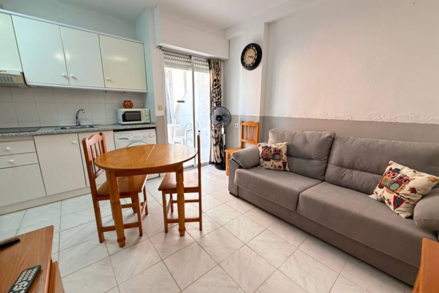 аренда - Aпартамент - Torrevieja - La Mata