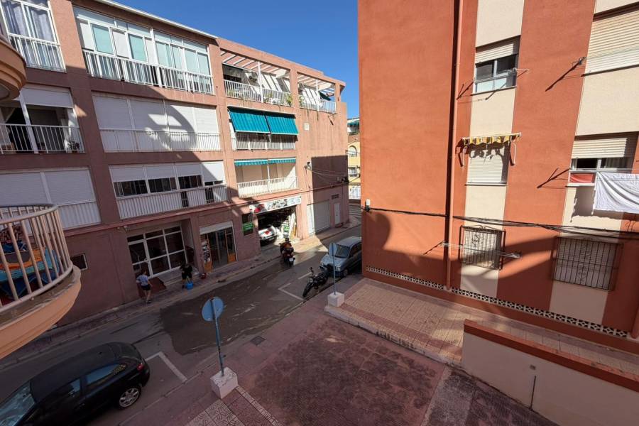 аренда - Aпартамент - Torrevieja - La Mata