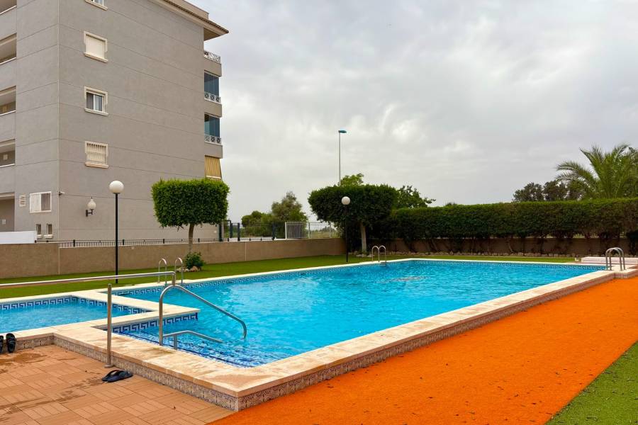 Reventa - Apartamento - Guardamar del Segura - Puerto Deportivo