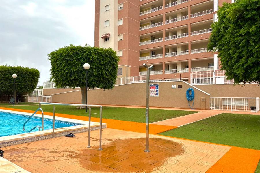 Reventa - Apartamento - Guardamar del Segura - Puerto Deportivo