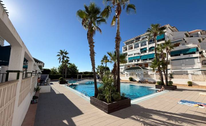 Apartamento - Alquiler - La Mata - Viñamar / PLAYA