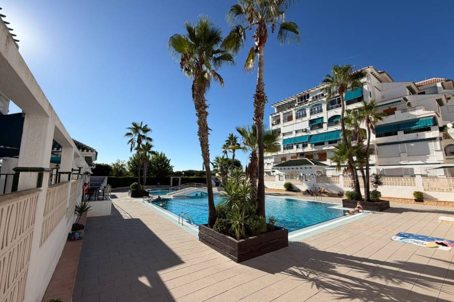 Mieten - Wohnung - La Mata - Viñamar / PLAYA