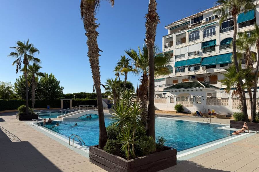 Mieten - Wohnung - La Mata - Viñamar / PLAYA