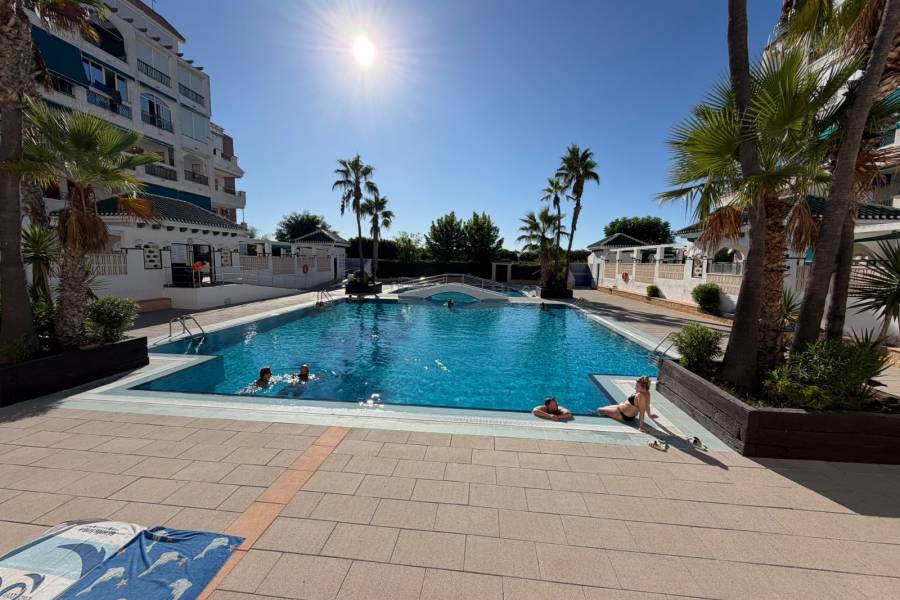 Mieten - Wohnung - La Mata - Viñamar / PLAYA