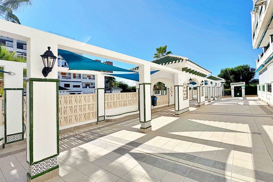 Reventa - Apartamento - La Mata - Los Europeos/ PLAYA