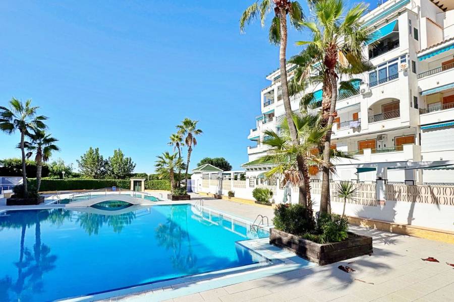 Reventa - Apartamento - La Mata - Los Europeos/ PLAYA