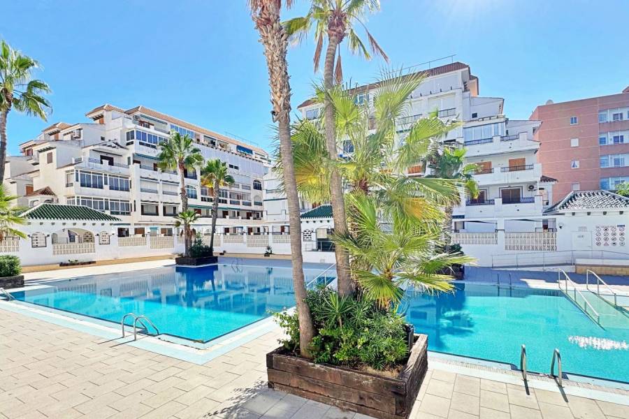 Reventa - Apartamento - La Mata - Los Europeos/ PLAYA