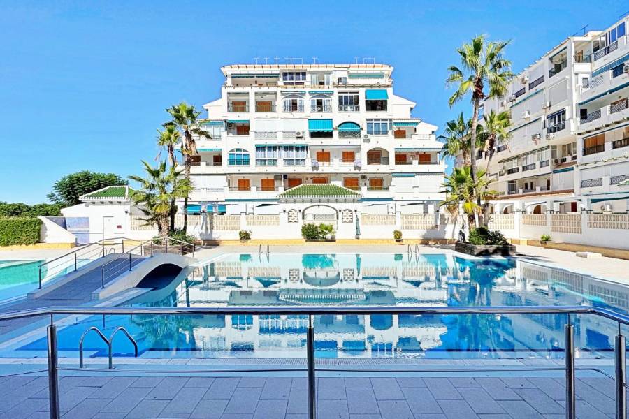 Reventa - Apartamento - La Mata - Los Europeos/ PLAYA