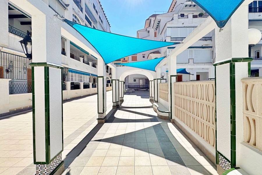 Reventa - Apartamento - La Mata - Los Europeos/ PLAYA