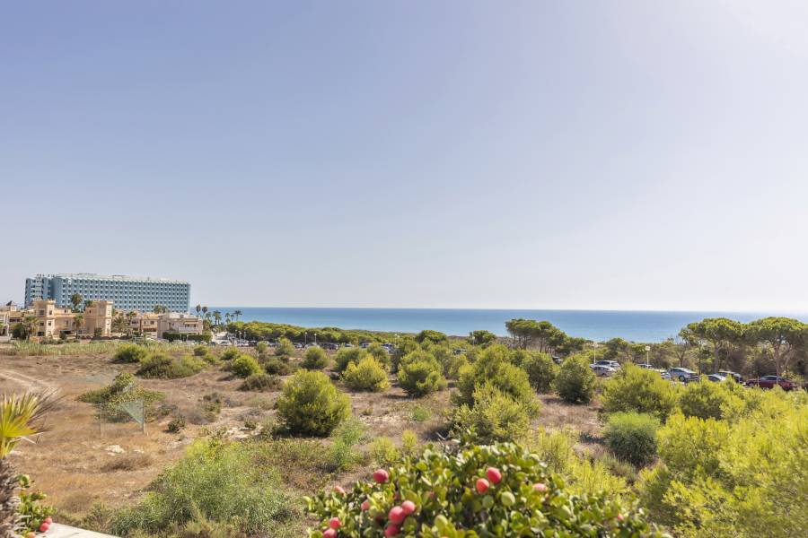 Reventa - Apartamento - Guardamar - Urbanizaciones /PLAYA