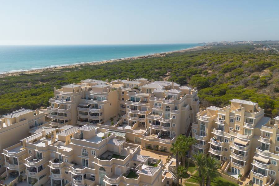 Reventa - Apartamento - Guardamar - Urbanizaciones /PLAYA