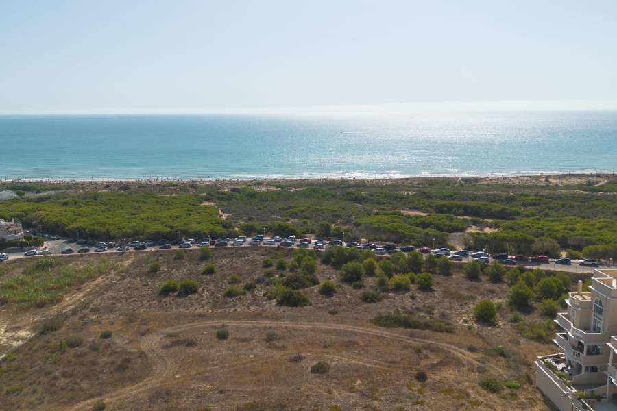 Reventa - Apartamento - Guardamar - Urbanizaciones /PLAYA