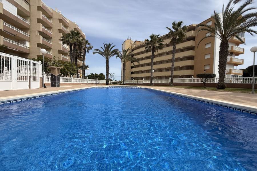 Reventa - Apartamento - Guardamar del Segura - las dunas