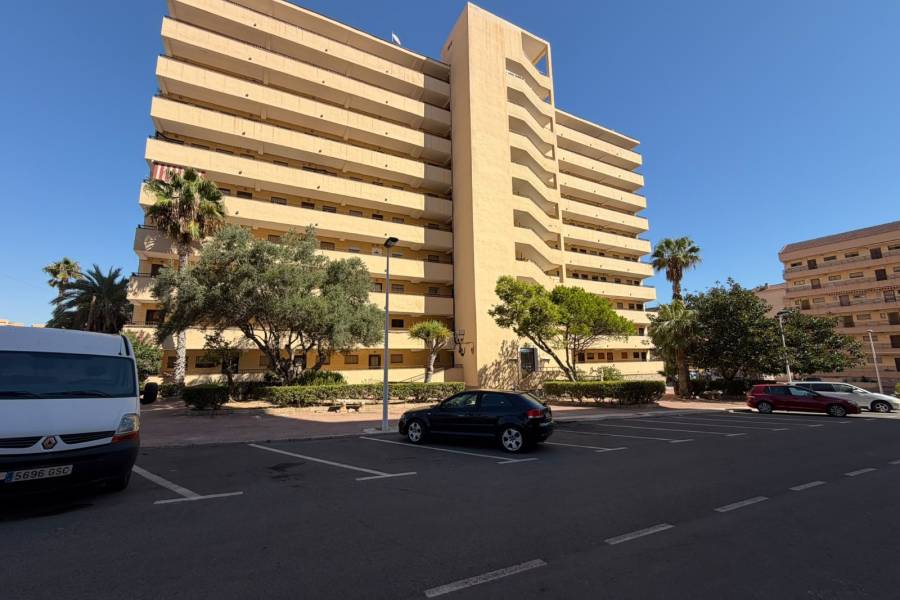 Reventa - Apartamento - La Mata - Cabo Cervera