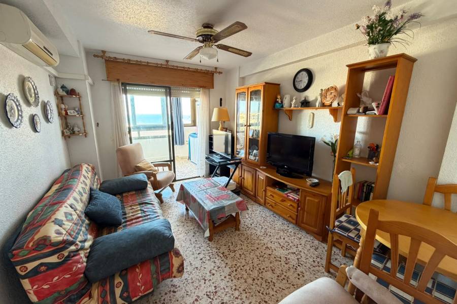 Reventa - Apartamento - La Mata - Cabo Cervera