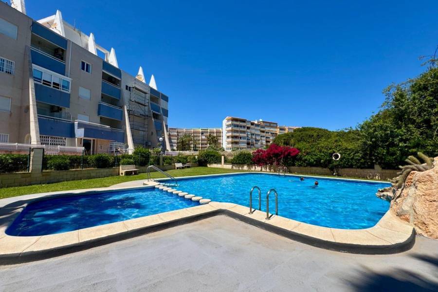 Перепродажа - Aпартамент - Ла-Мата - Puerto Romano/PLAYA