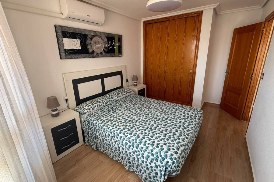 Alquiler - Apartamento - La Mata - Pueblo/ PLAYA