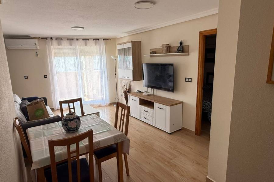 Alquiler - Apartamento - La Mata - Pueblo/ PLAYA