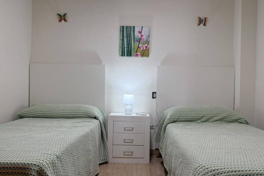 Alquiler - Apartamento - La Mata - Pueblo/ PLAYA