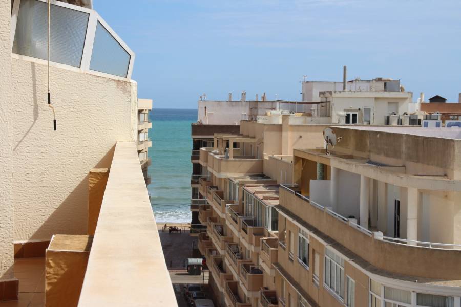 Alquiler - Apartamento - La Mata - Pueblo/ PLAYA